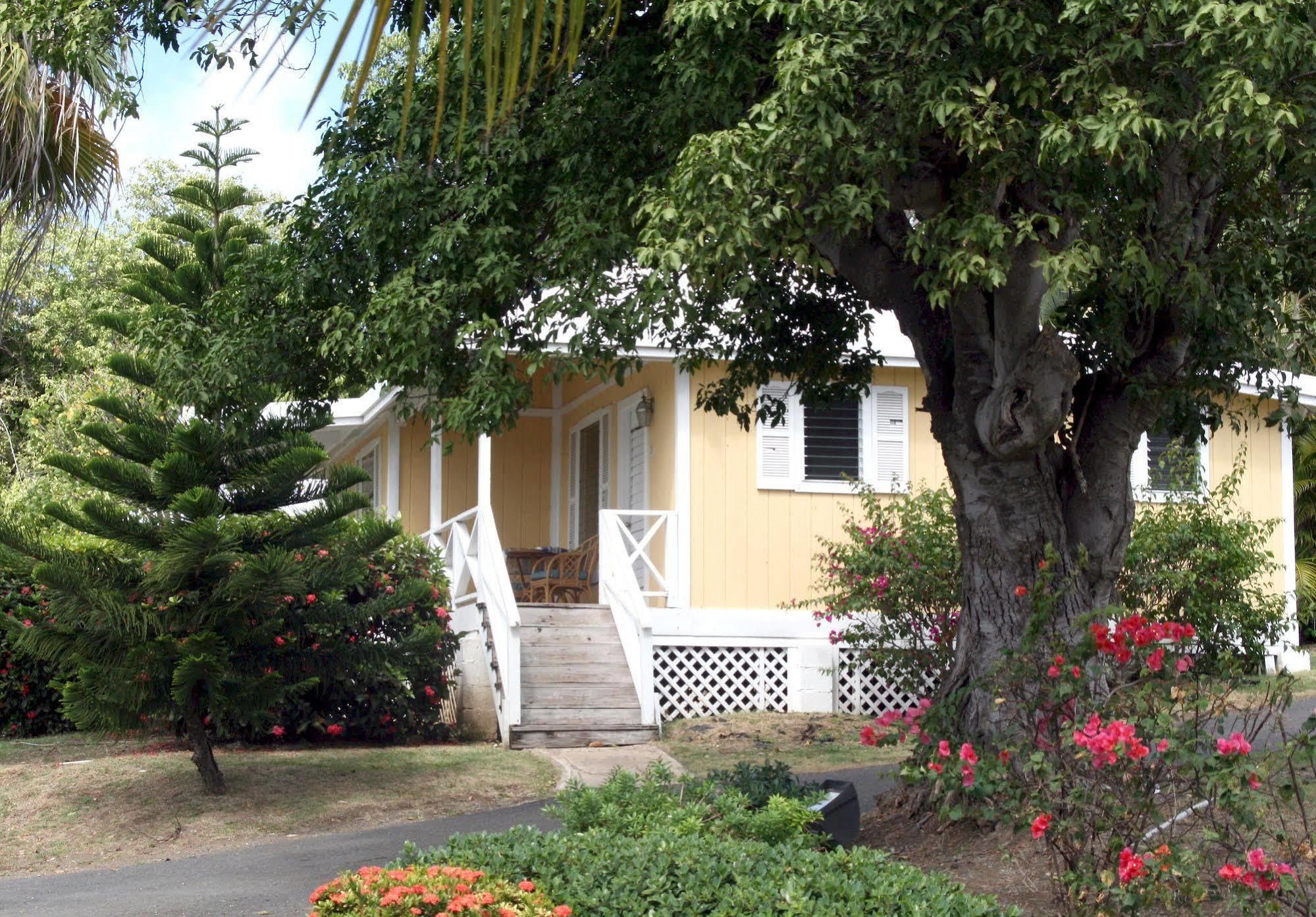 Chenay Bay Beach Resort Christiansted Kültér fotó